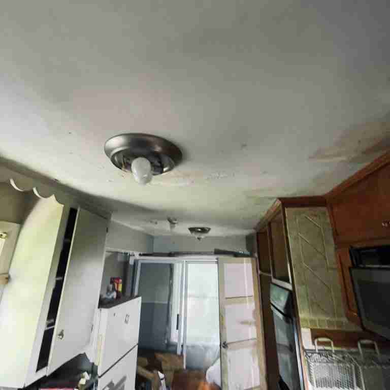 20506 Cardoni (56).jpg